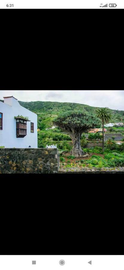 Mireya Home Icod De Los Vinos Εξωτερικό φωτογραφία